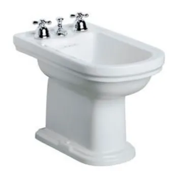 bidet-1-5951539-48519.webp