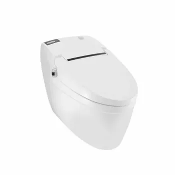 bidet-1-7325012-72330.webp