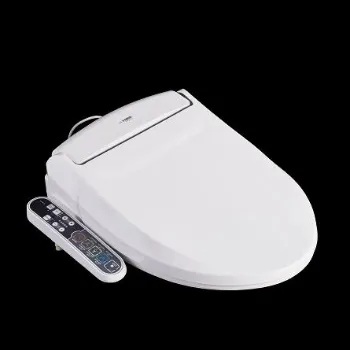 bidet-1-8459484-25237.webp