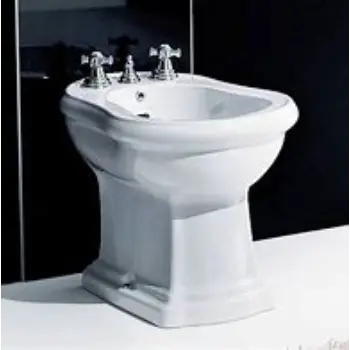 bidet-10-1056509-51047.webp