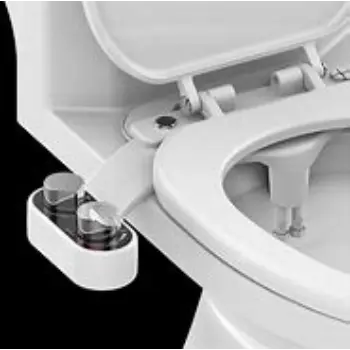 bidet-10-7090886-85062.webp