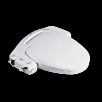bidet-2-3892084-85428.webp