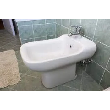 bidet-2-5013127-67489.webp