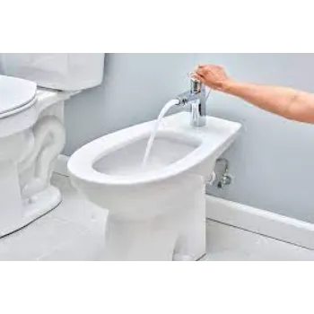 bidet-2-9944091-80864.webp