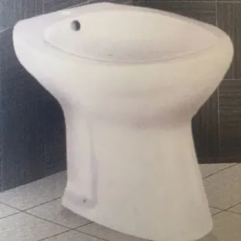 bidet-3-1806078-88237.webp