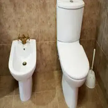bidet-3-3969291-57823.webp