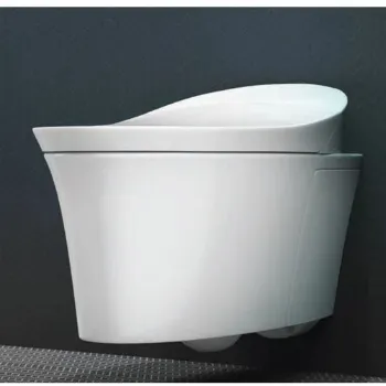 bidet-3-4332022-71169.webp