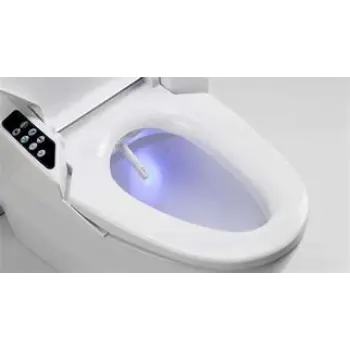 bidet-4-4189402-30673.webp
