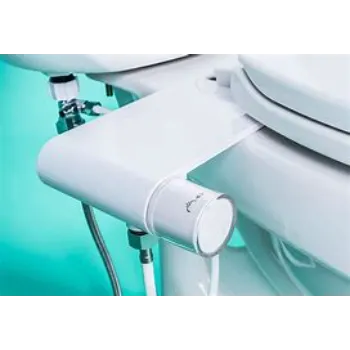 bidet-5-4172402-99980.webp