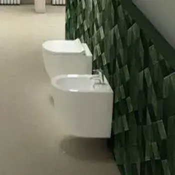 bidet-5-5799099-25831.webp