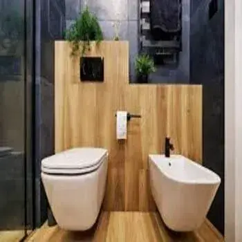 bidet-7-542255-59658.webp