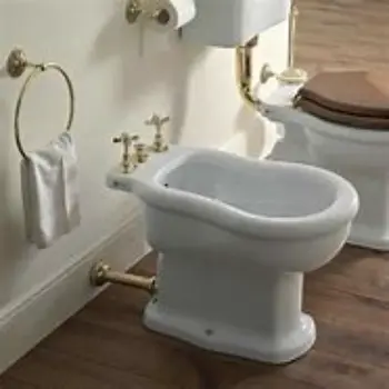 bidet-7-7274984-23446.webp