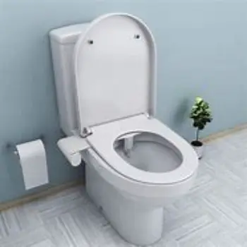 bidet-8-1864573-42203.webp