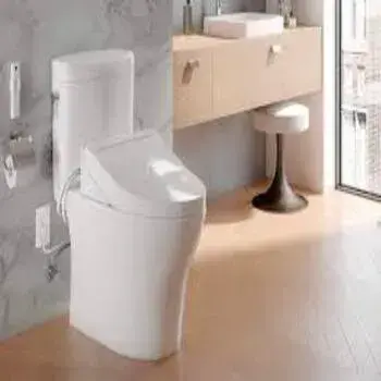 bidet-9-7069406-60153.webp