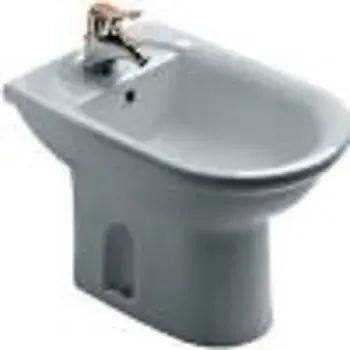 bidet1-4923618-87132.webp