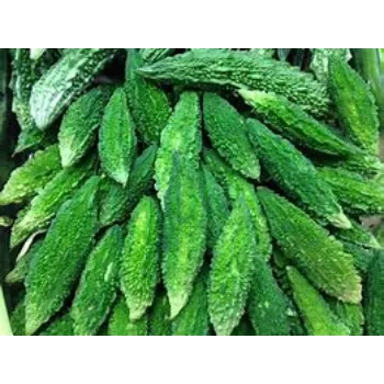 bitter-gourd-01-5929476-52622.webp