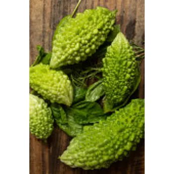 bitter-gourd-01-7111911-16140.webp