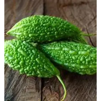 bitter-gourd-01-8745707-29311.webp