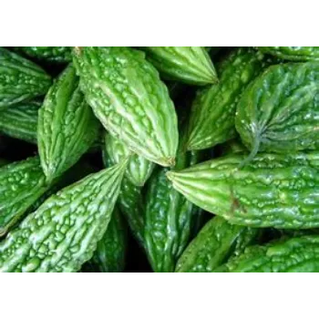 bitter-gourd-02-7018228-1907.webp