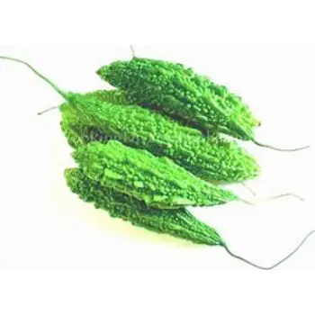 bitter-gourd-02-7630796-97889.webp