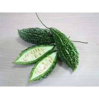 bitter-gourd-03-8036597-60705.webp