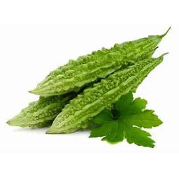 bitter-gourd-04-6802932-27256.webp