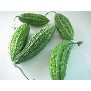 bitter-gourd-04-9844436-24336.webp