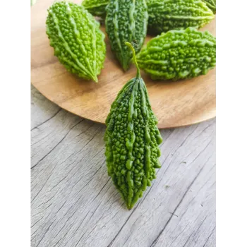 bitter-gourd-06-2308151-8875.webp