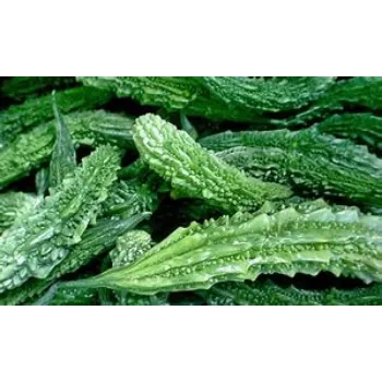 bitter-gourd-07-4450239-4424.webp