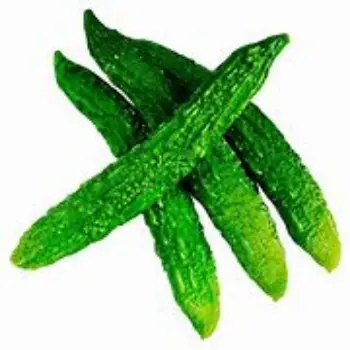 bitter-gourd-09-1942094-71971.webp