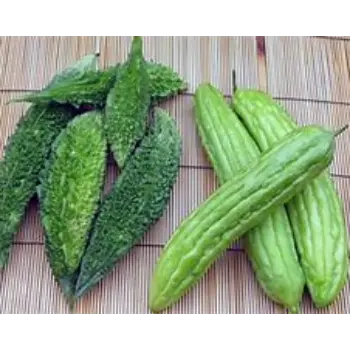 bitter-gourd-10-1749289-97517.webp