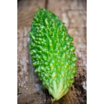 bitter-gourd-10-222724-48503.webp