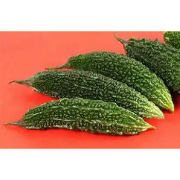 bitter-gourd-11-5443874-71447.webp