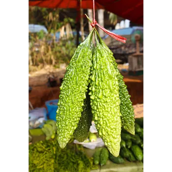 bitter-gourd-11-7434263-58818.webp