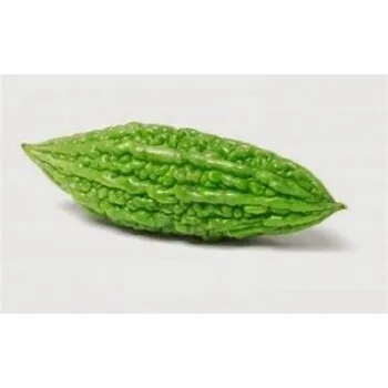 bitter-gourd-17-4368609-32169.webp