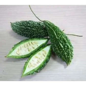 bitter-gourd-19-7977064-51961.webp