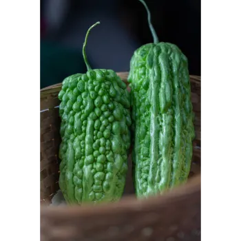 bitter-gourd-21-1213707-34112.webp
