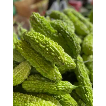 bitter-gourd-23-6536192-56616.webp