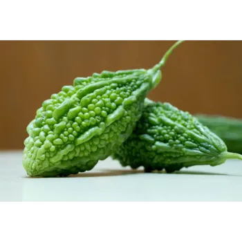 bitter-gourd-24-1854115-9933.webp