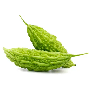 bitter-gourd-57-1832466-37763.webp