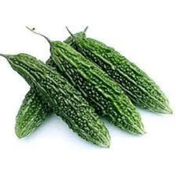 bitter-gourd01-1280516-11771.webp