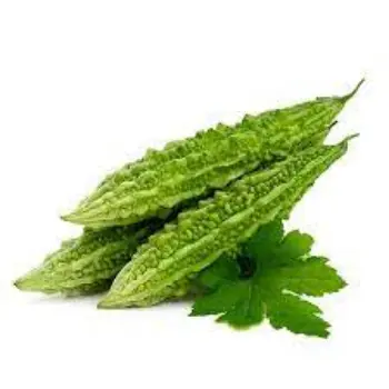 bitter-gourd02-2100313-68768.webp