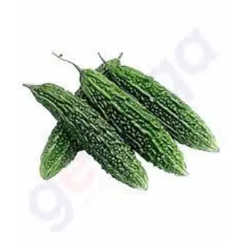 bitter-gourd06-4873764-86247.webp