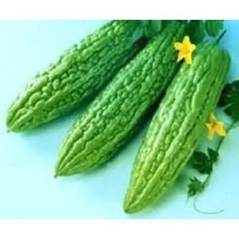 bitter-gourd09-745225-60348.webp