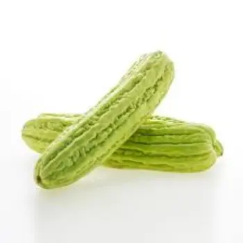 bitter-gourd12-7143261-94191.webp