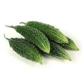 bitter-gourd14-9183742-30715.webp