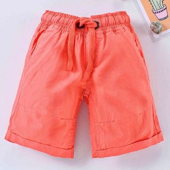 Casual Wear Boys Shorts Wholesaler boys-shorts-1-1254062-85787.jpg