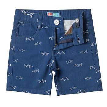 Boys Shorts boys-shorts-6-8211441-69016.jpg