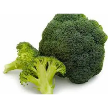 Organic Frozen Broccoli brcli1-9961602-42472.webp