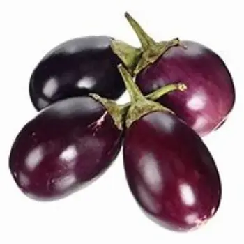 brinjal-05-1440956-57687.webp